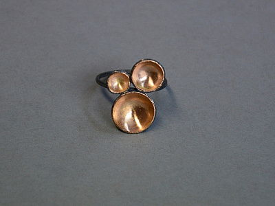 Unikate aus Metall : Ring „Traumkelche“